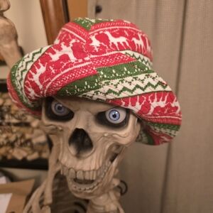 Festive Red and Green Unisex Hat